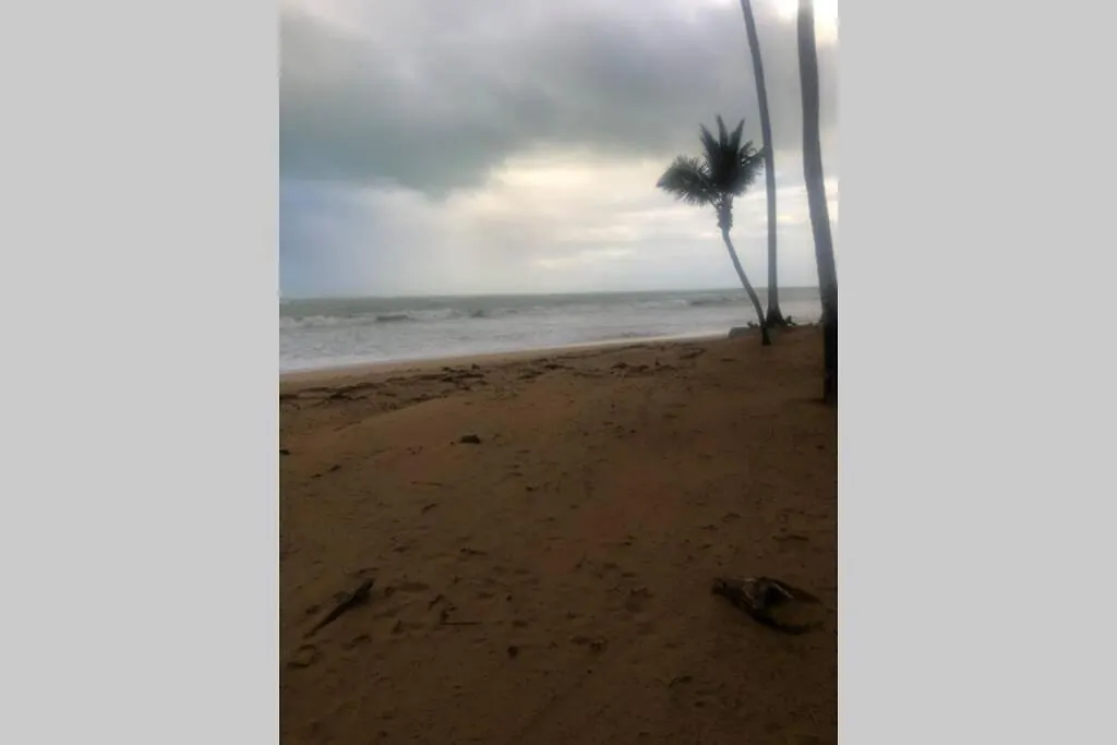 Apartment Beachfront Apt Playas Del Yunque